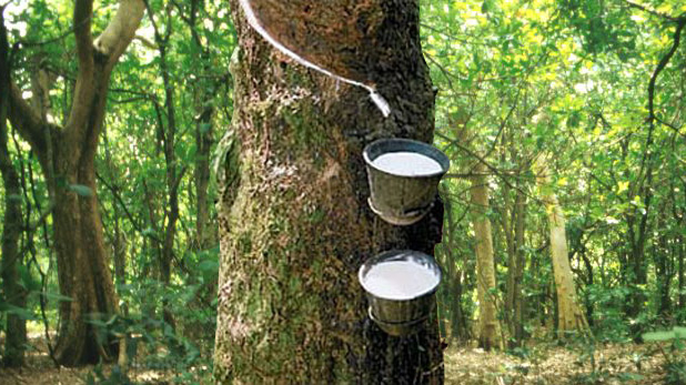 Natural Rubber